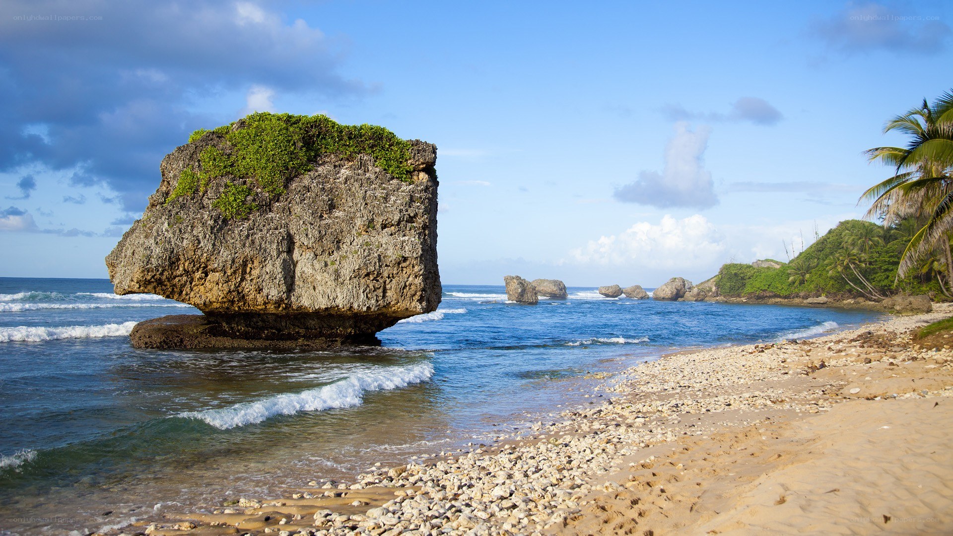 rock formation on tropical beach