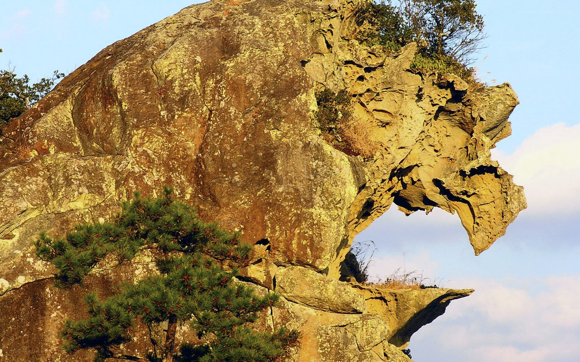 Rock formation resembling a lion's head