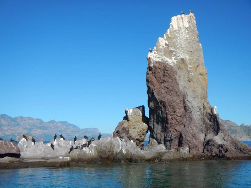 Rock Formation with Birds