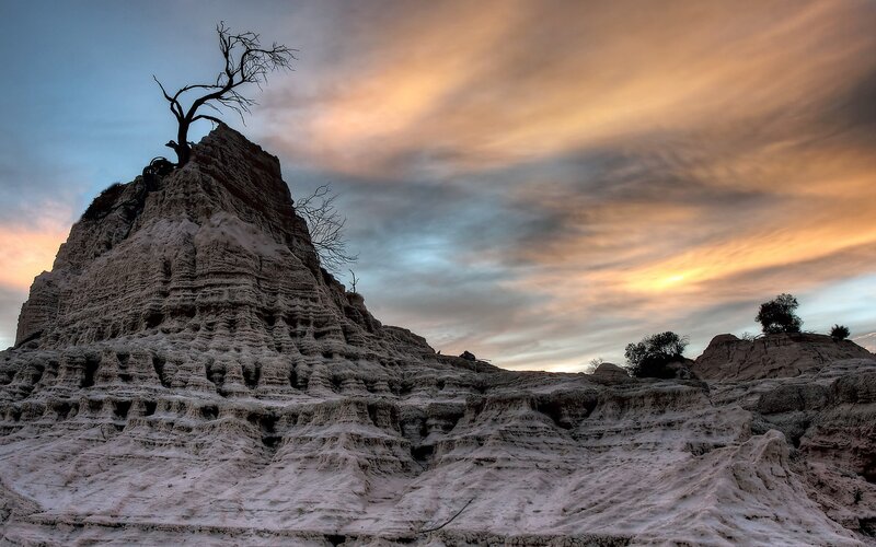 Rock Formation with Dead Tree