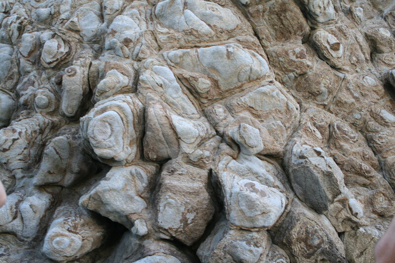 Rock Formation with Fossils