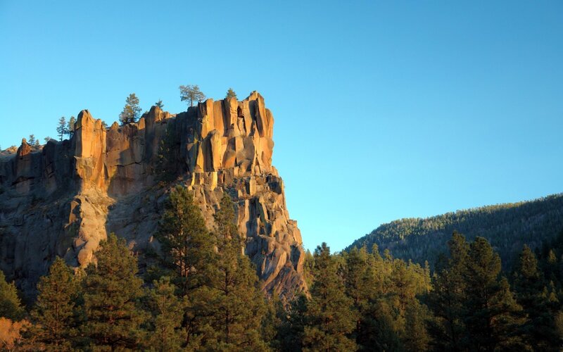 rock formation with pine trees