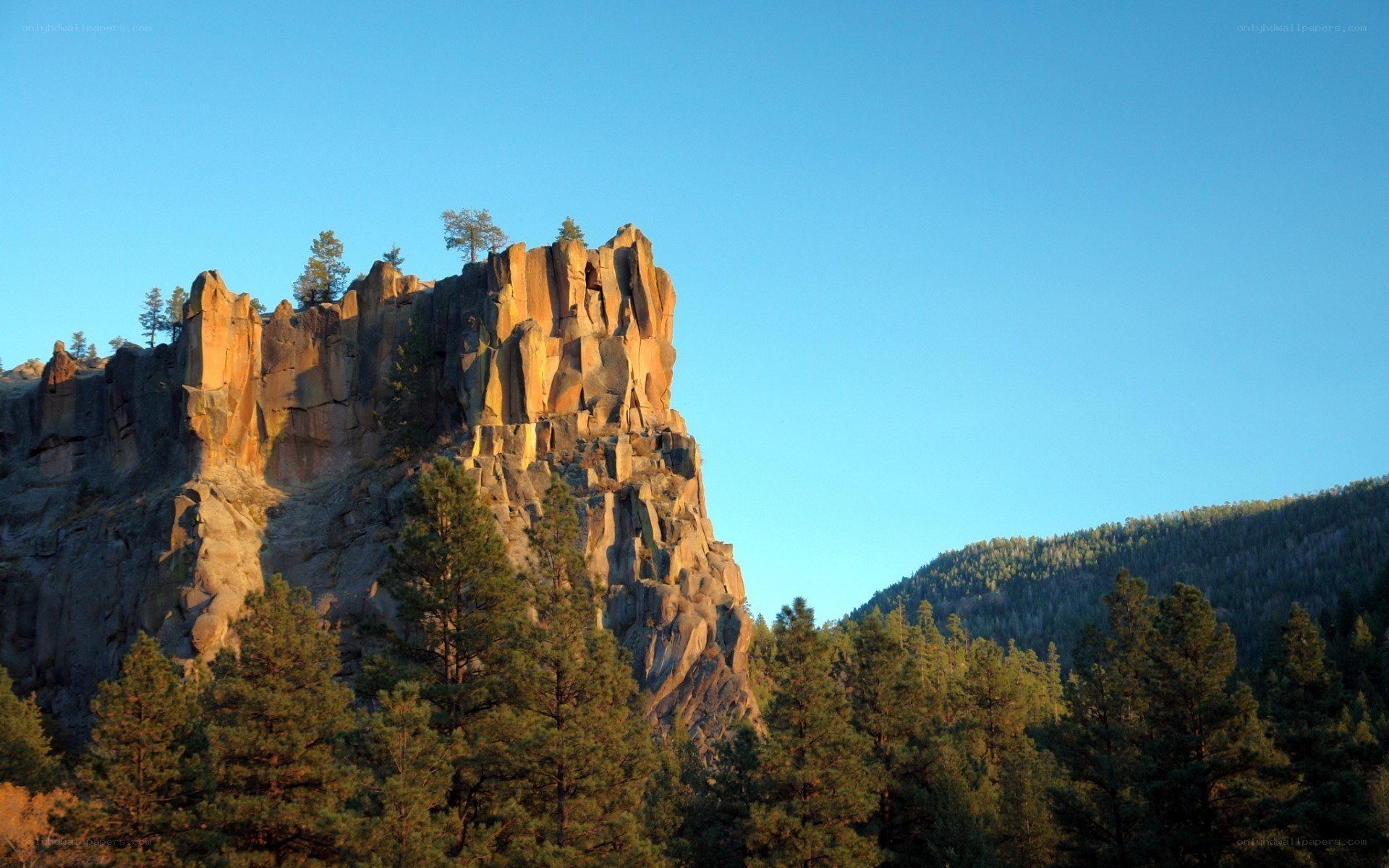 rock formation with pine trees