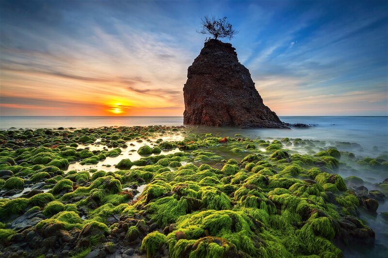 Rock Formation with Tree — Green, Serene