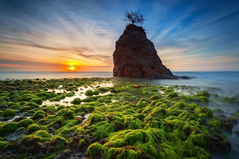 Rock Formation with Tree — Green