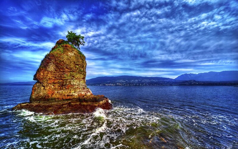 Rock formation with tree in ocean