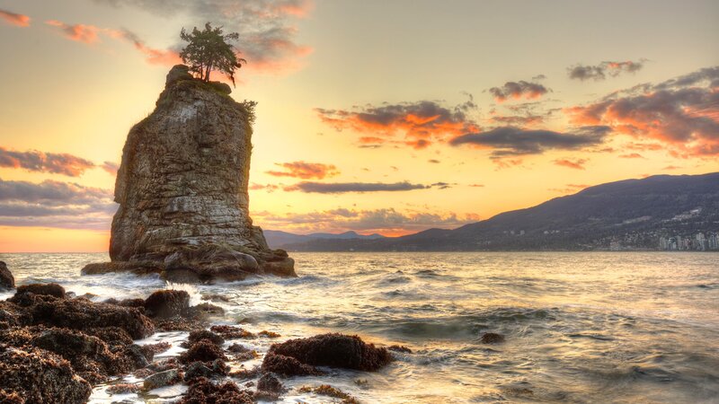 Rock Formation with Tree — Orange
