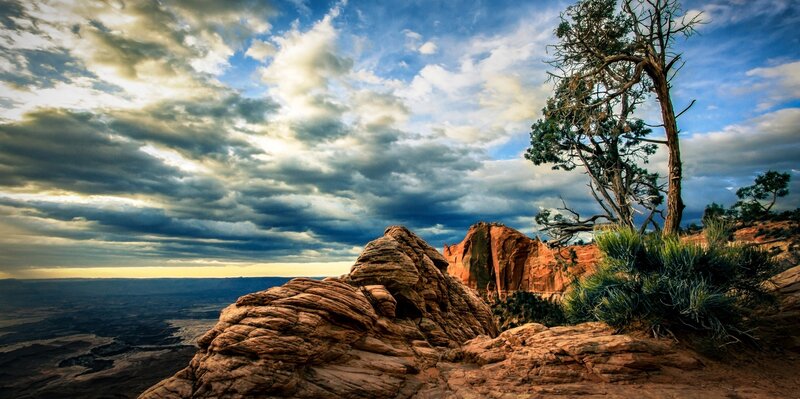Rock Formation with Tree