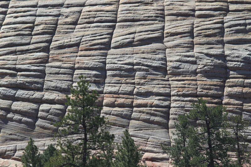 Rock Formation with Trees — Gray