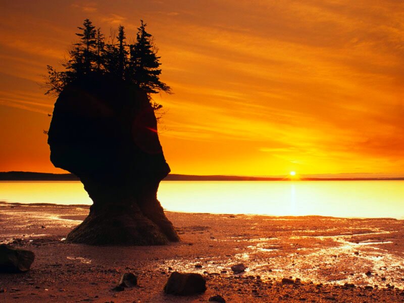 Rock Formation with Trees — Orange