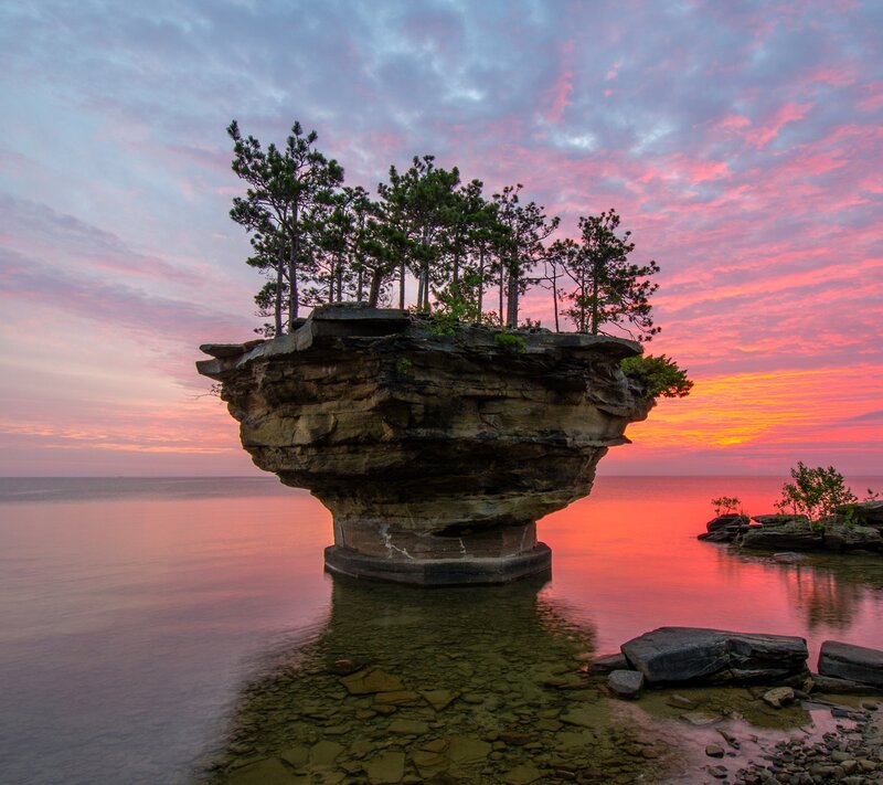 Rock Formation with Trees — Pink, Serene