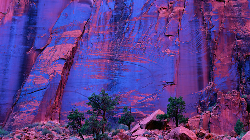 Rock Formation with Trees — Purple