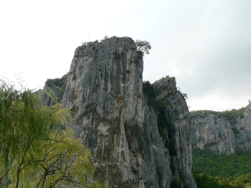 rock formation with trees