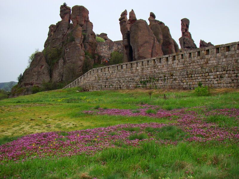 Rock formations and wildflowers