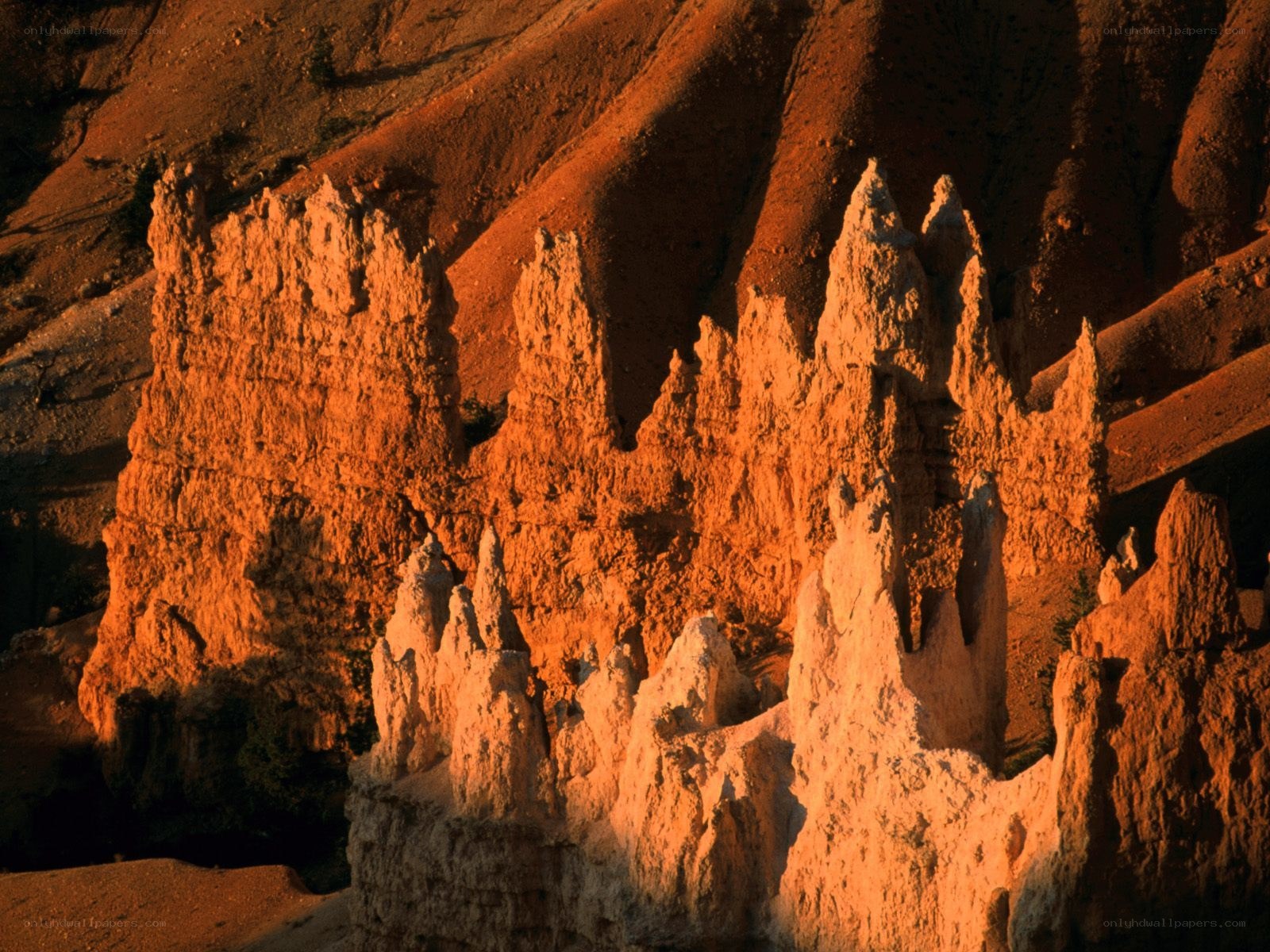 rock formations at sunset