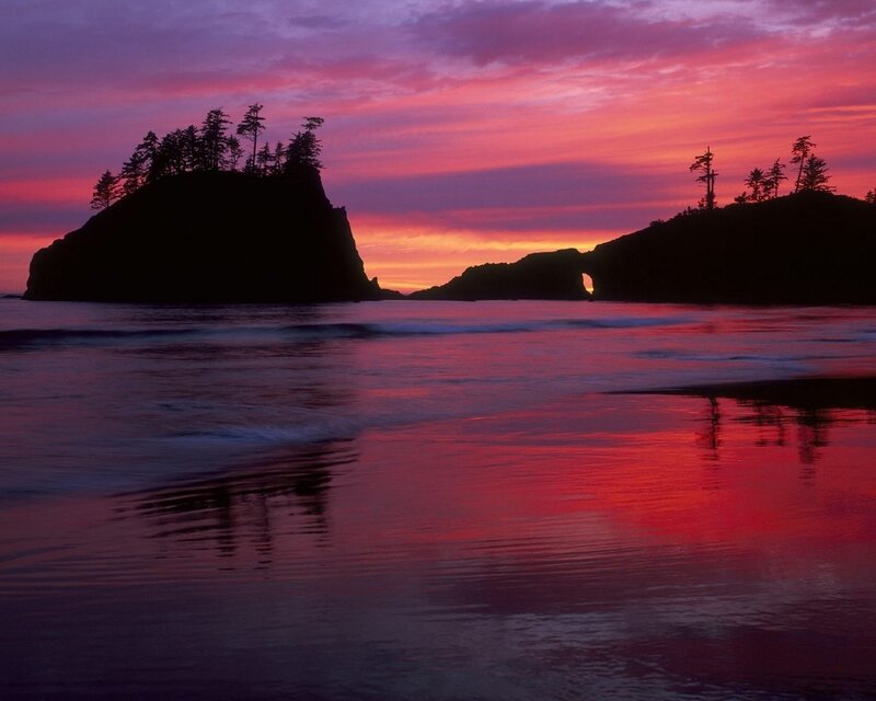 Rock Formations at Sunset — Purple, Dramatic, Photograph, Trees, Ocean, Sky