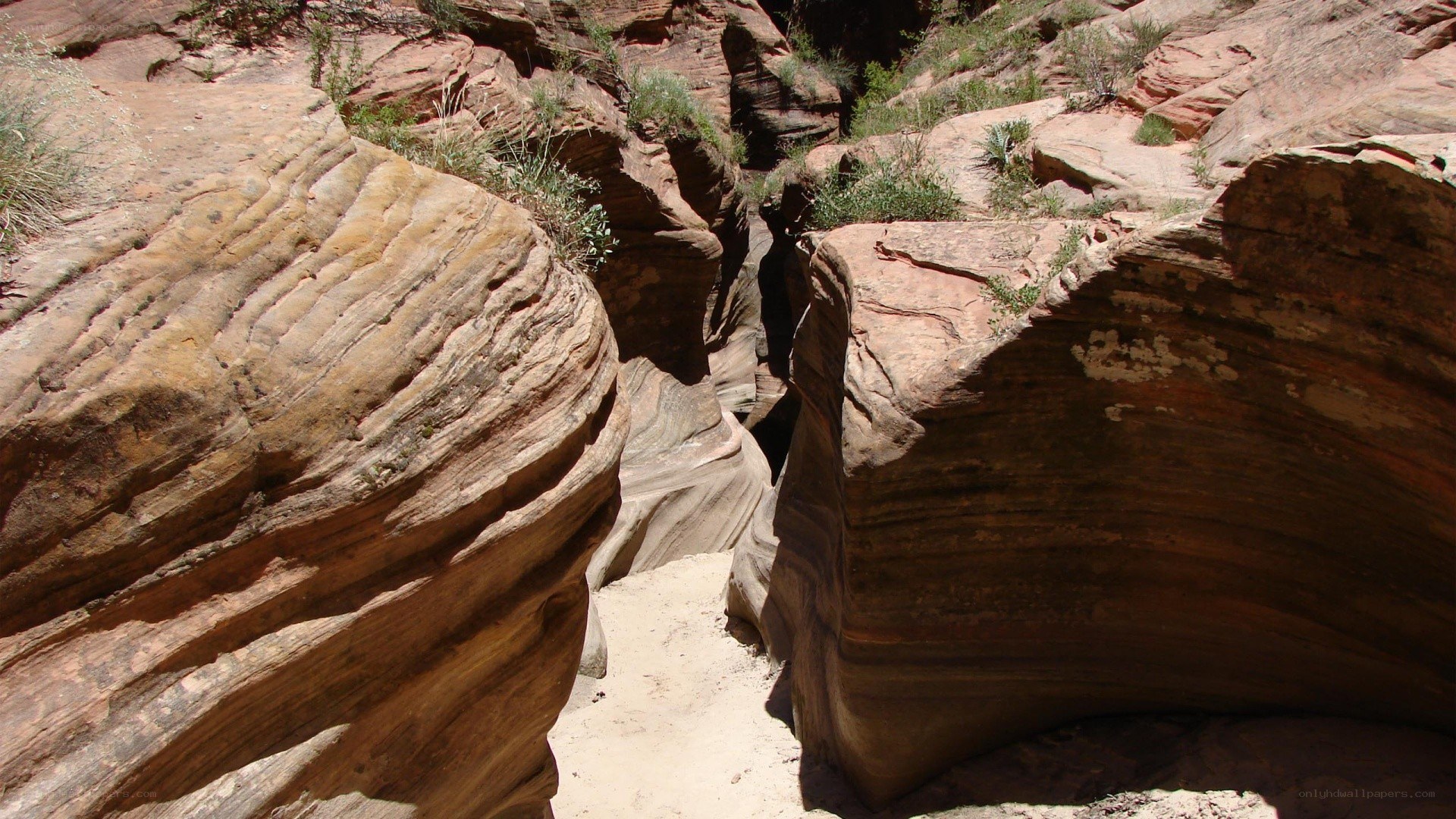 rock formations in a canyon
