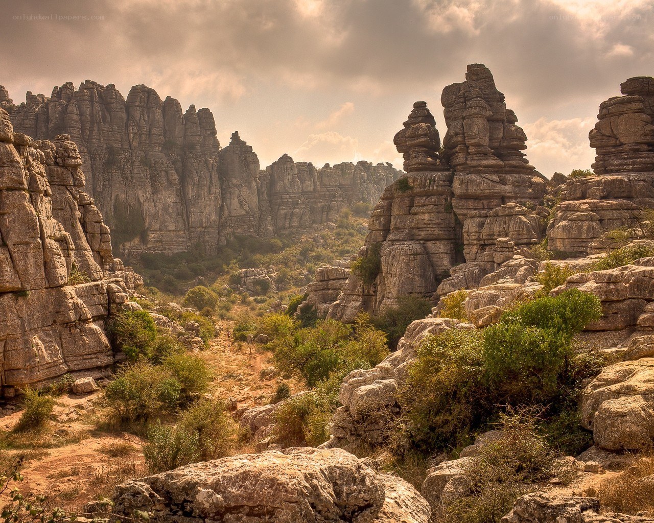 Rock formations in a canyon