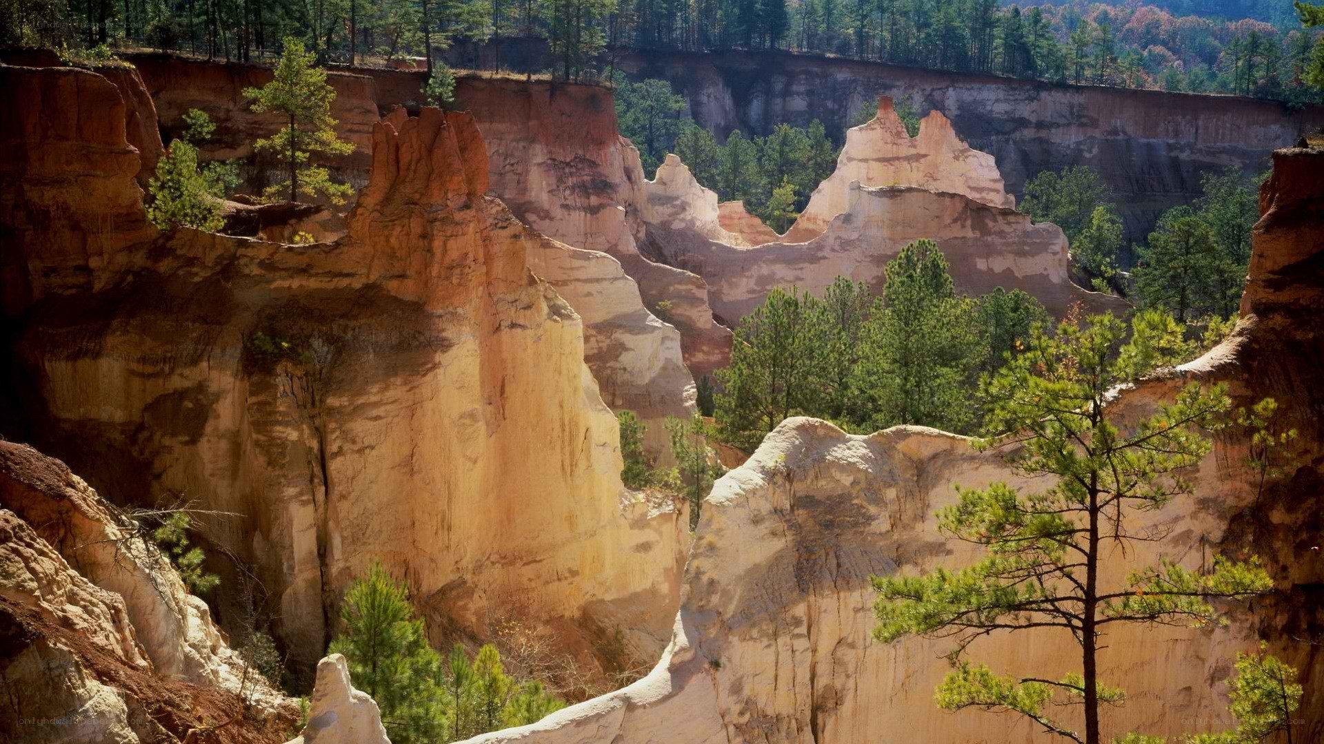 rock formations in a canyon