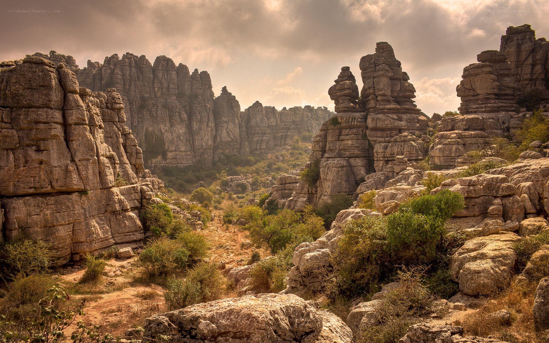 rock formations in a canyon