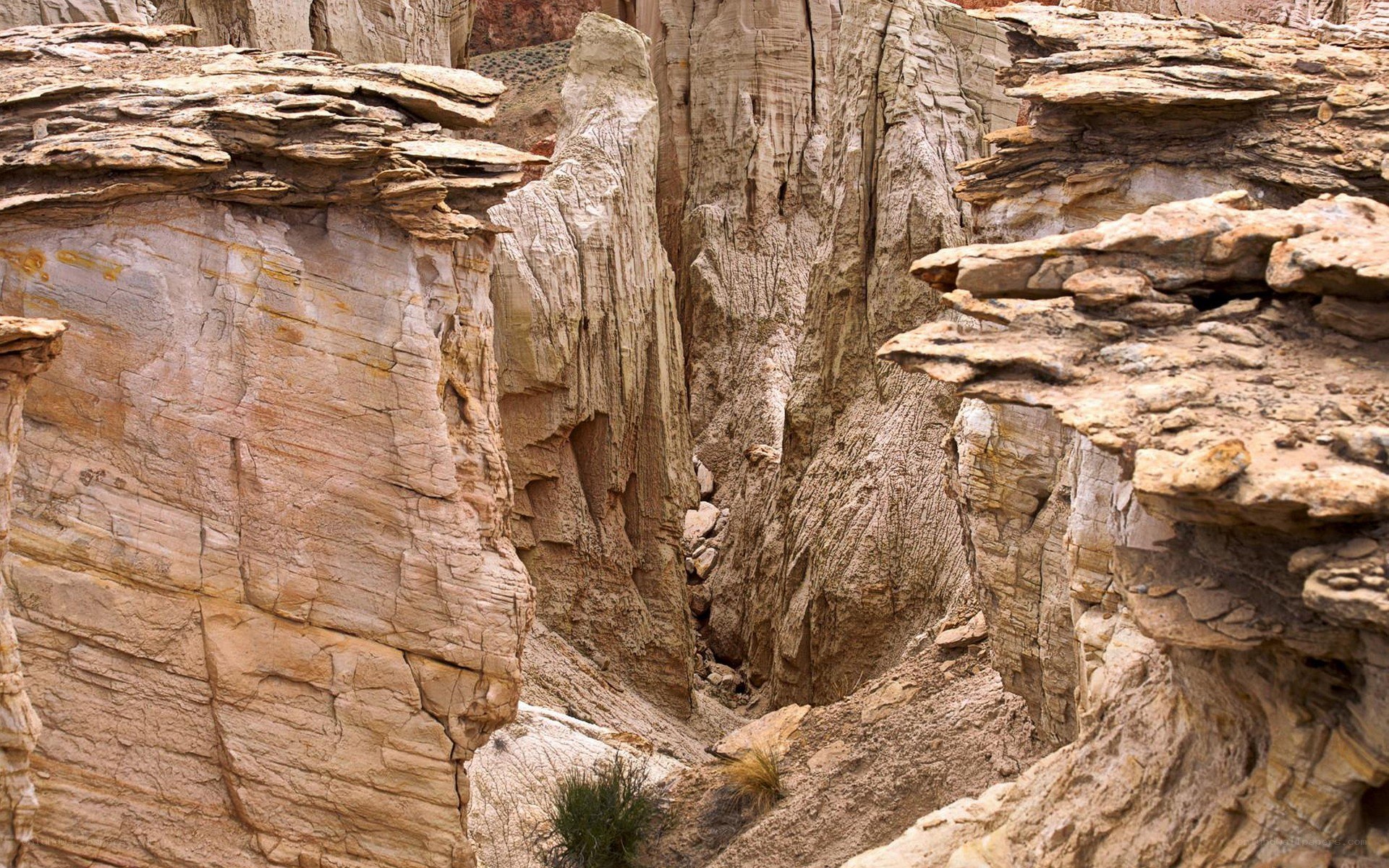 rock formations in a canyon