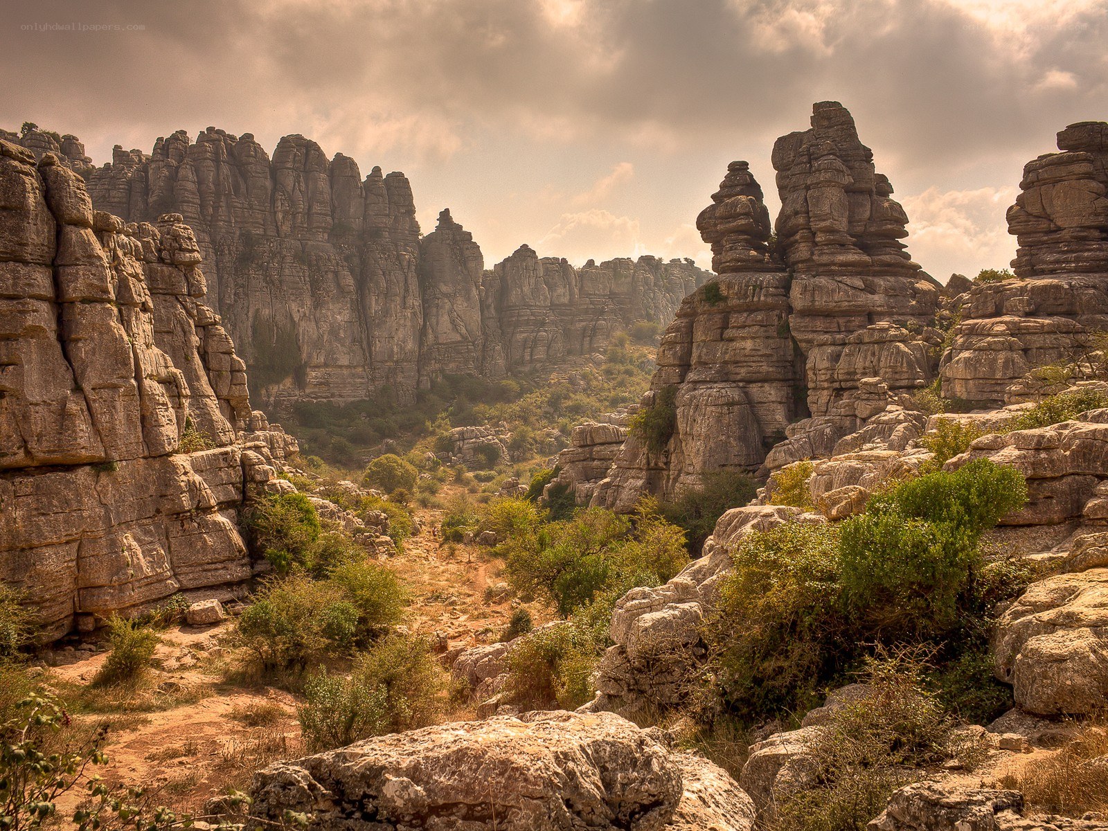 Rock formations in a canyon