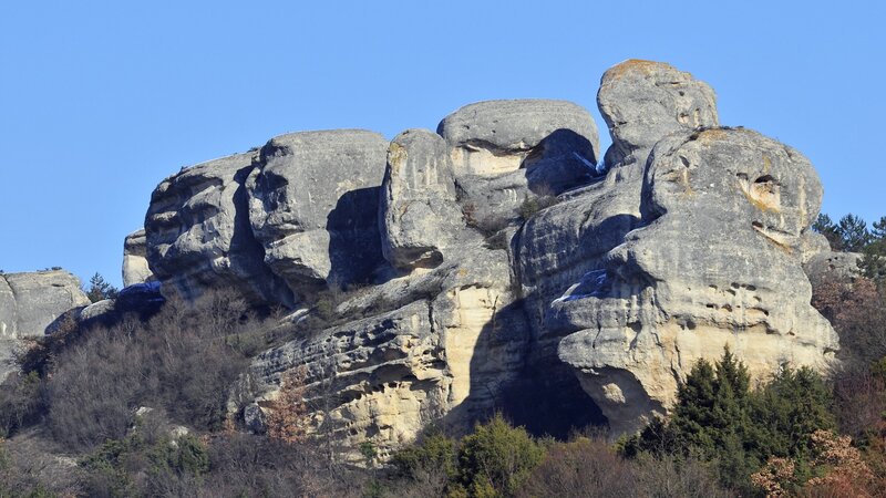 Rock formations in a forest