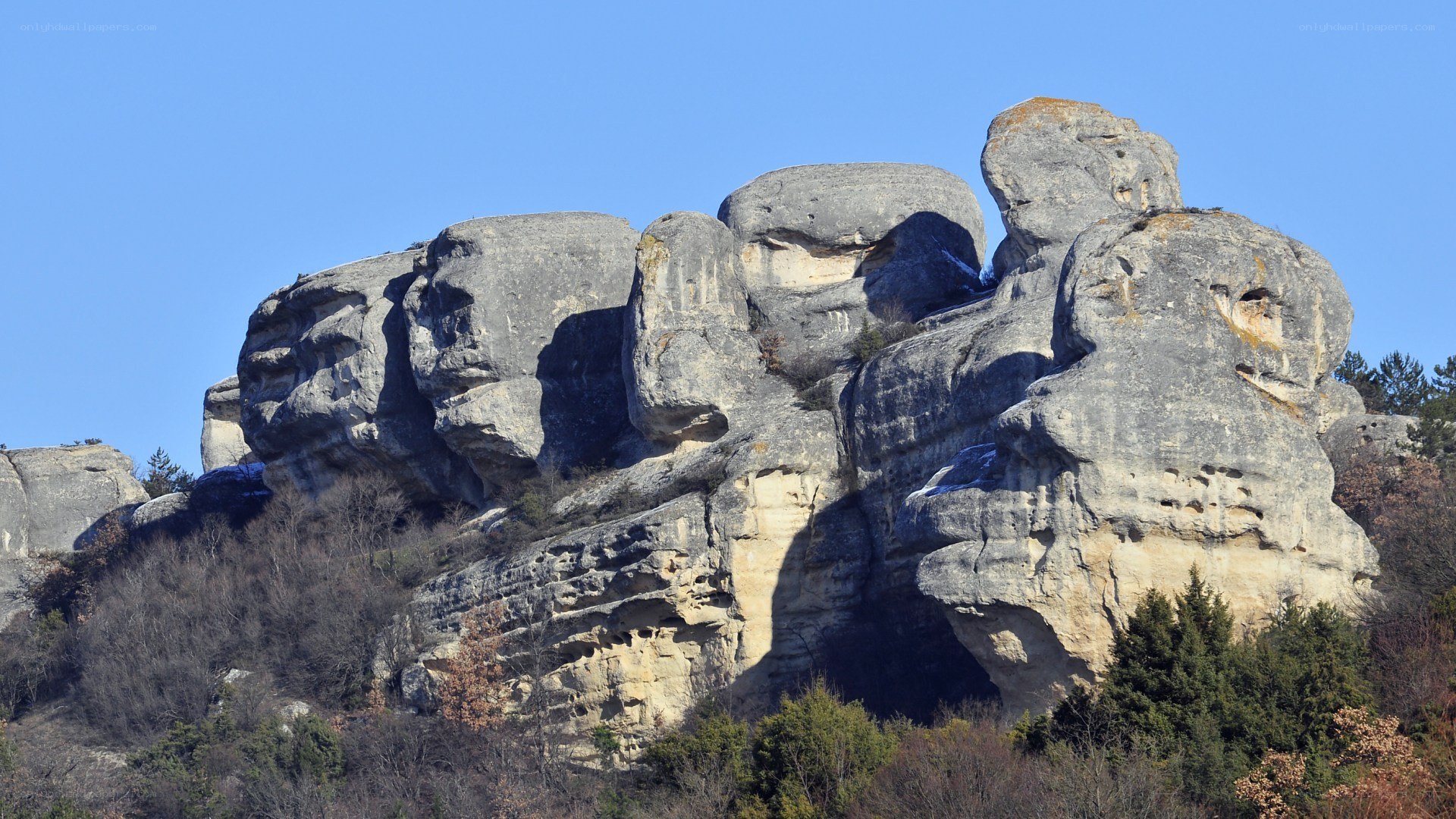Rock formations in a forest