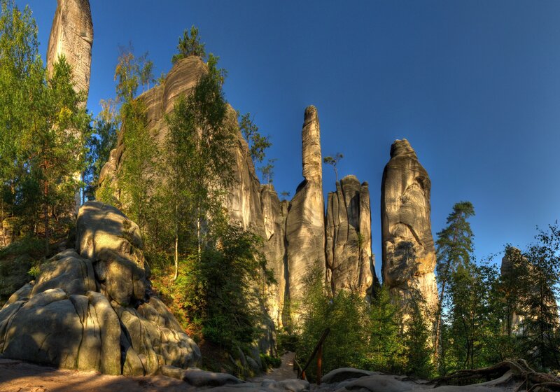 Rock formations in a forest
