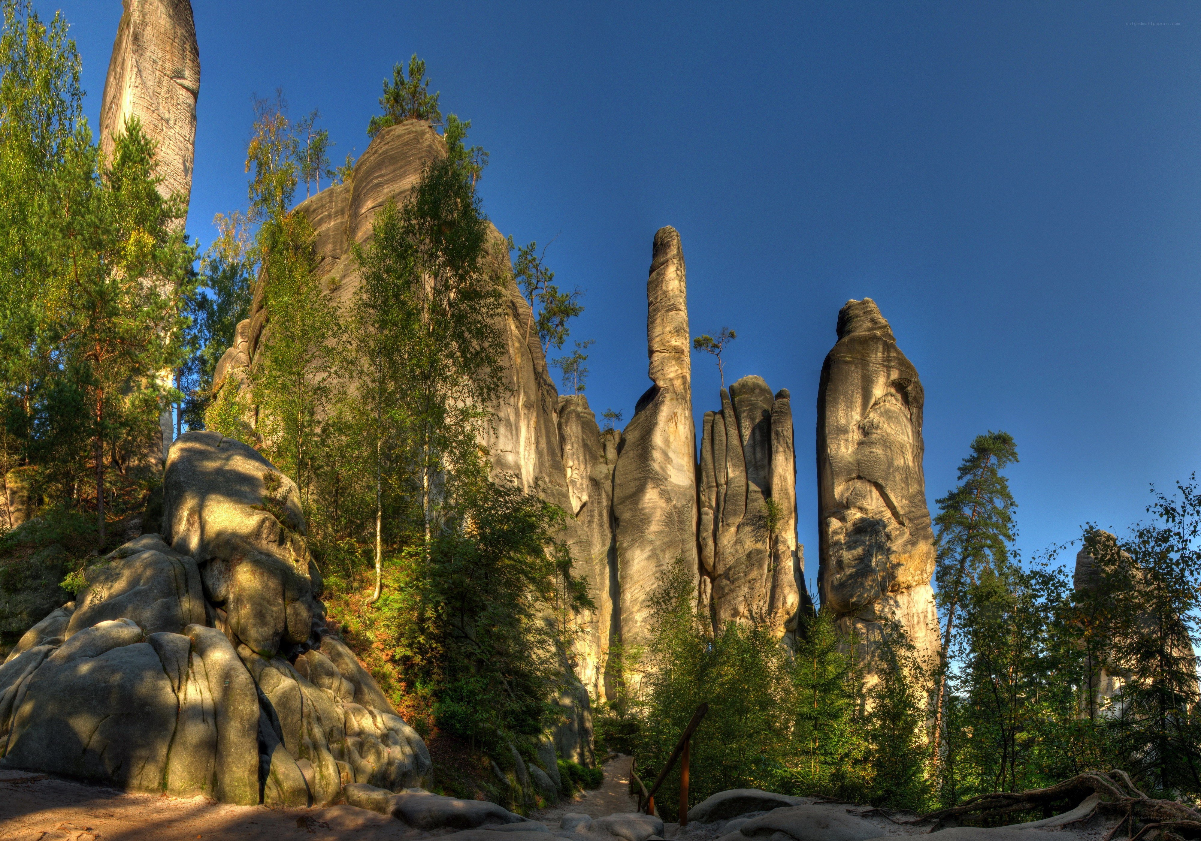 Rock formations in a forest