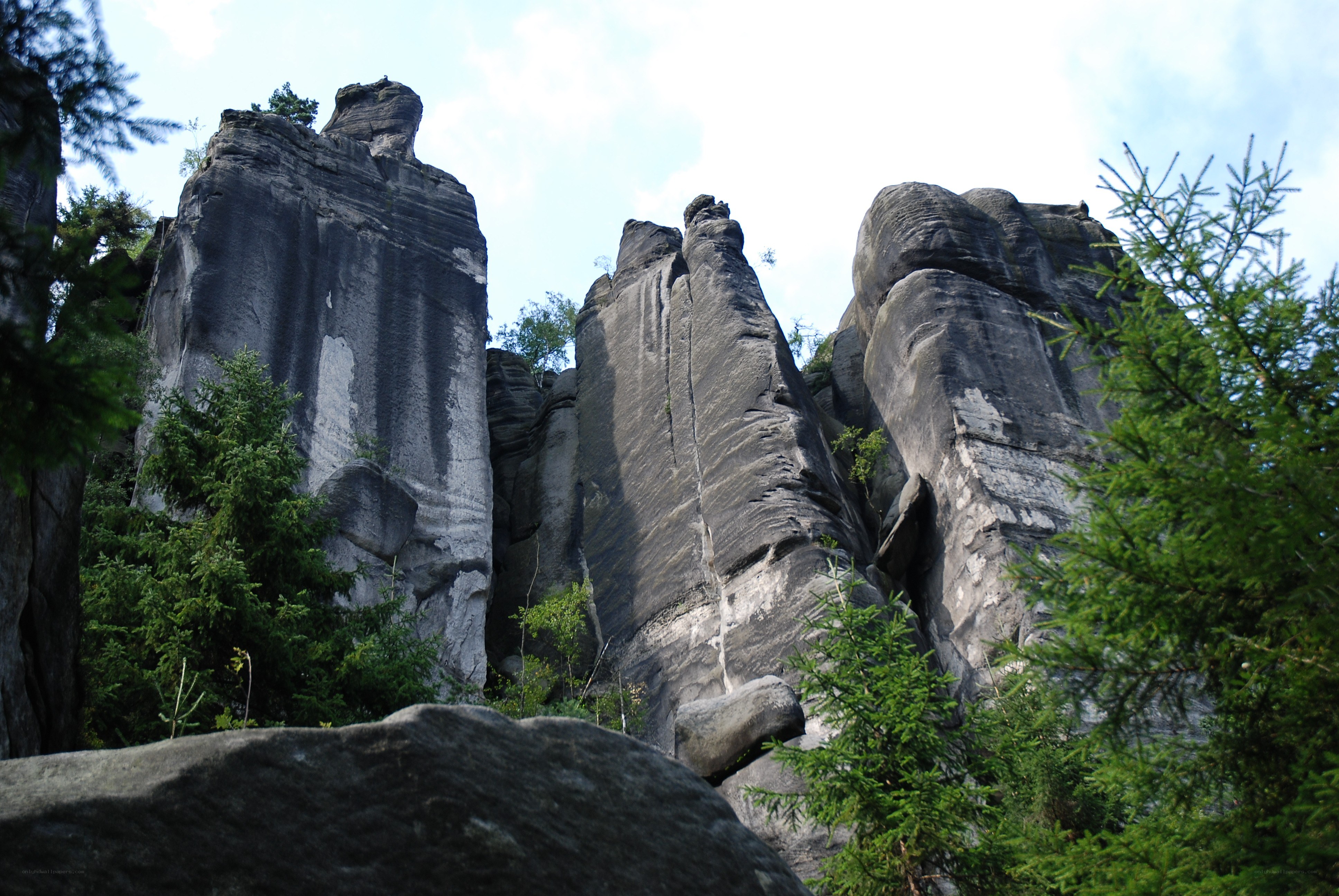 Rock formations in a forest
