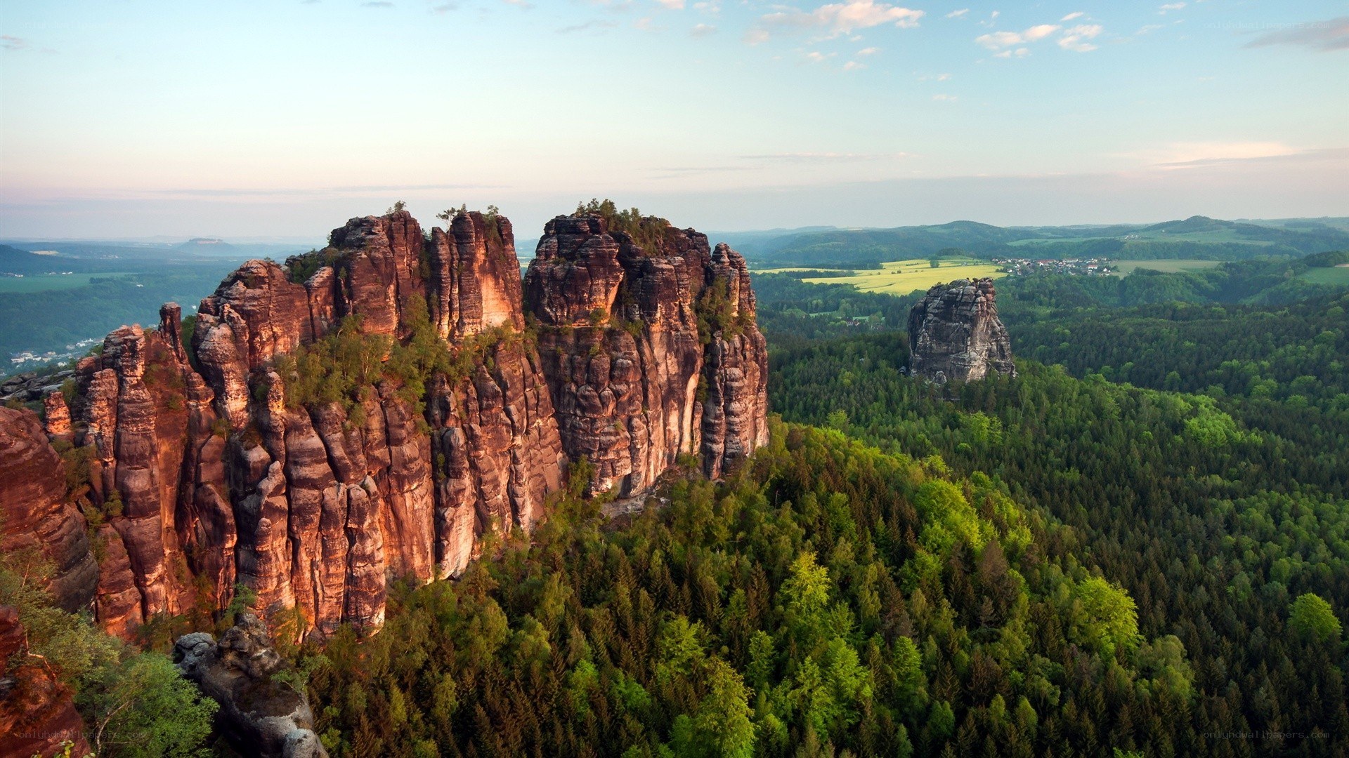 rock formations in a forest