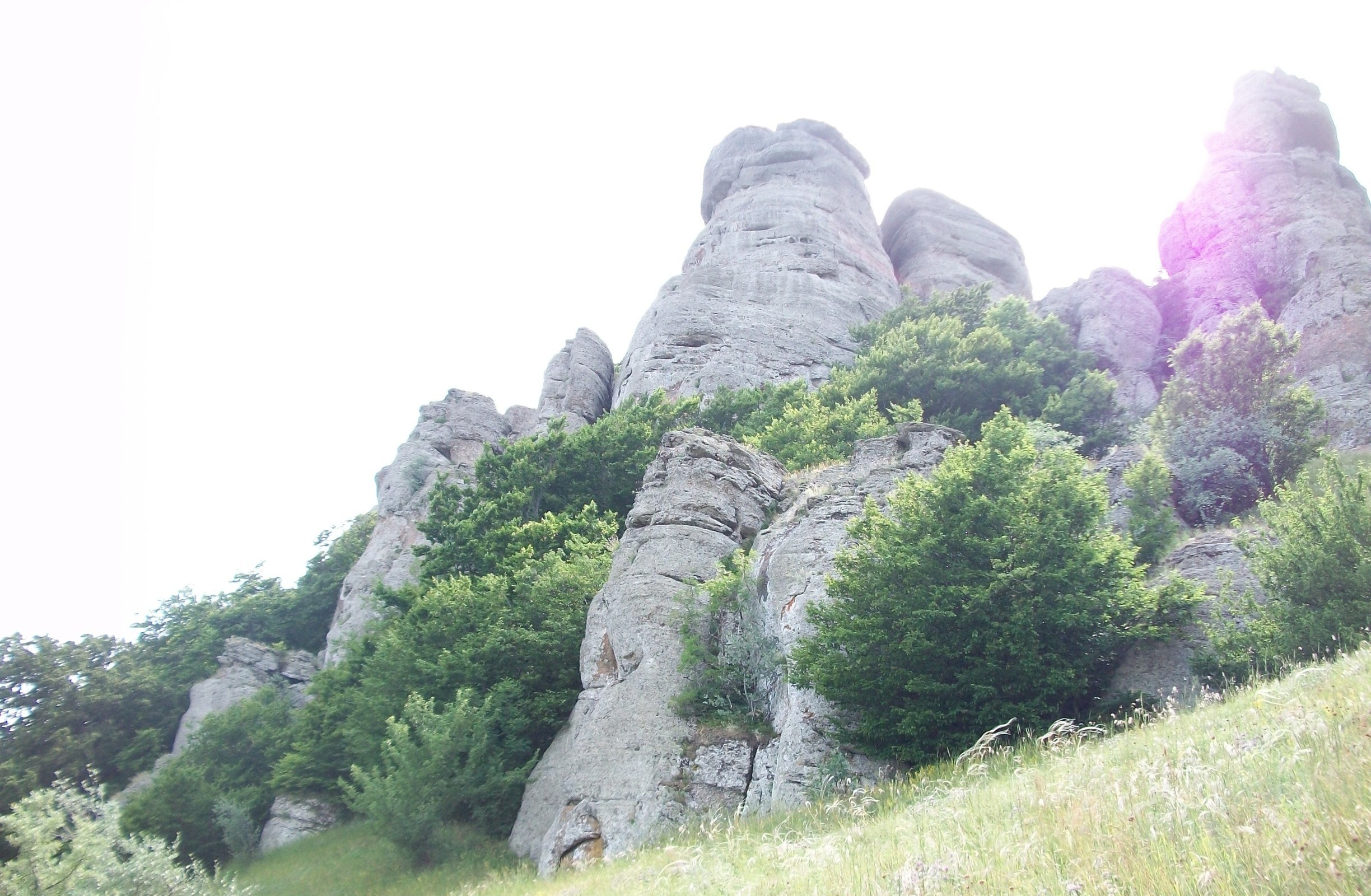 Rock formations in a forested area