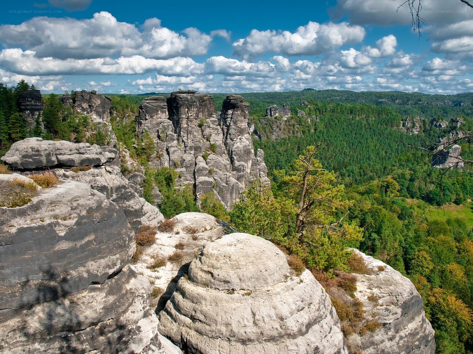 Rock formations in a forested valley