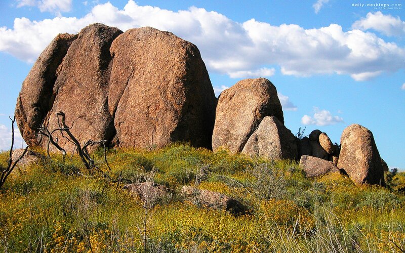 Rock formations in a wildflower field