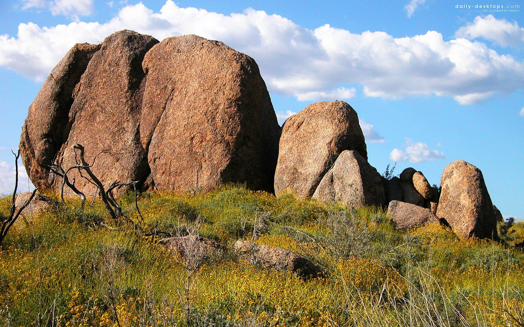 Rock formations in a wildflower field