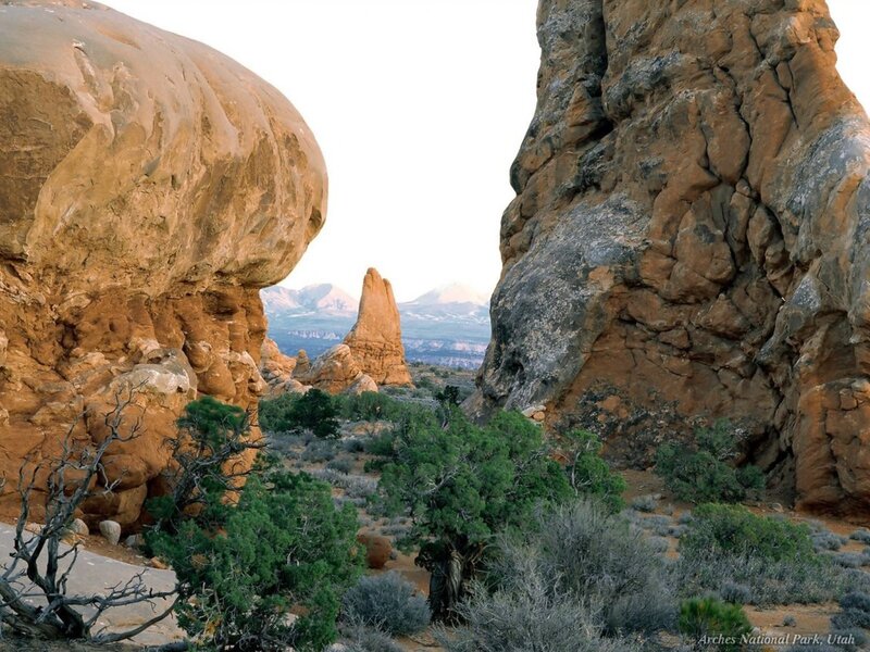 rock formations in arches national park