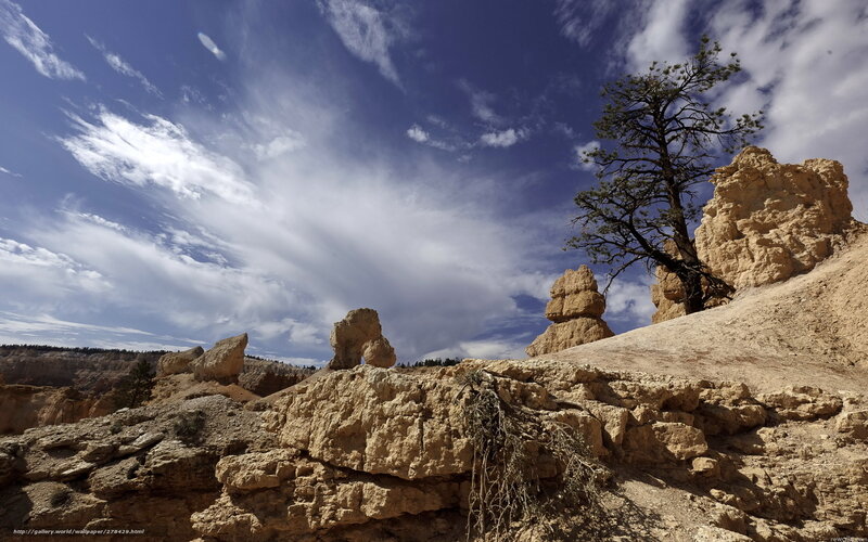 Rock Formations in Canyon — Blue, Dramatic, Afternoon