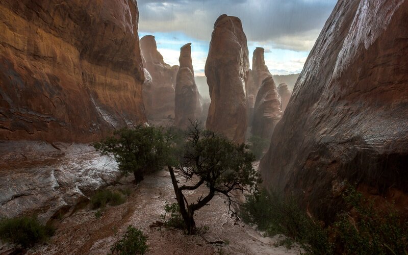 Rock Formations in Canyon — Brown, Dramatic, Afternoon, Photograph, Trees