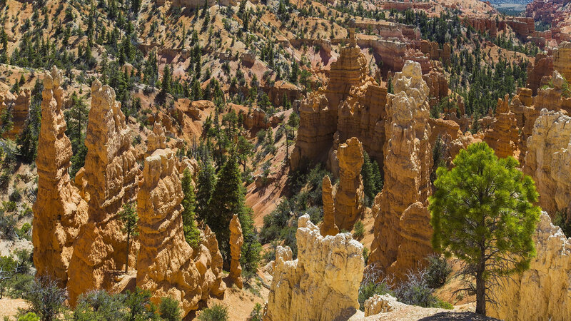 Rock Formations in Canyon — Orange, Dramatic