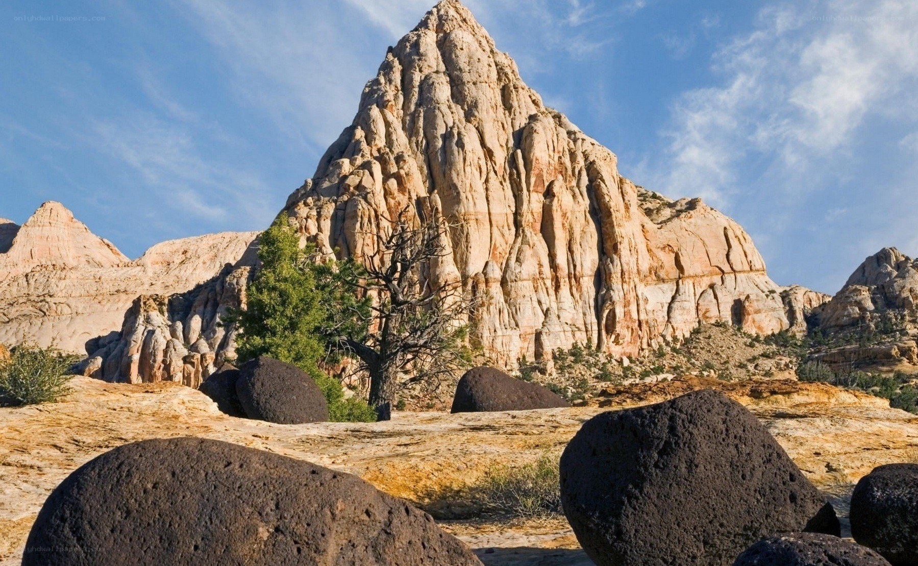 rock formations in desert landscape
