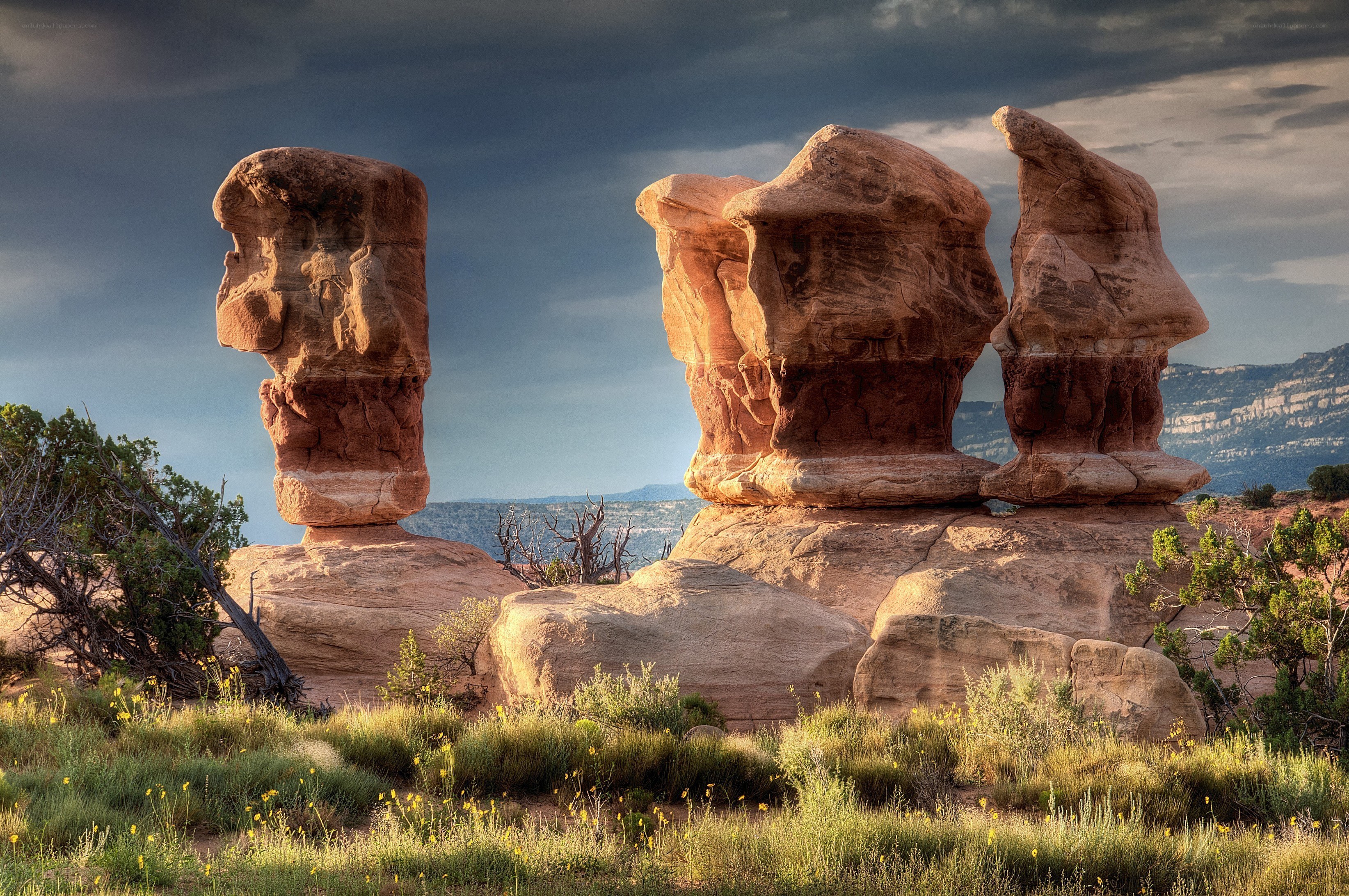 Rock formations in desert landscape