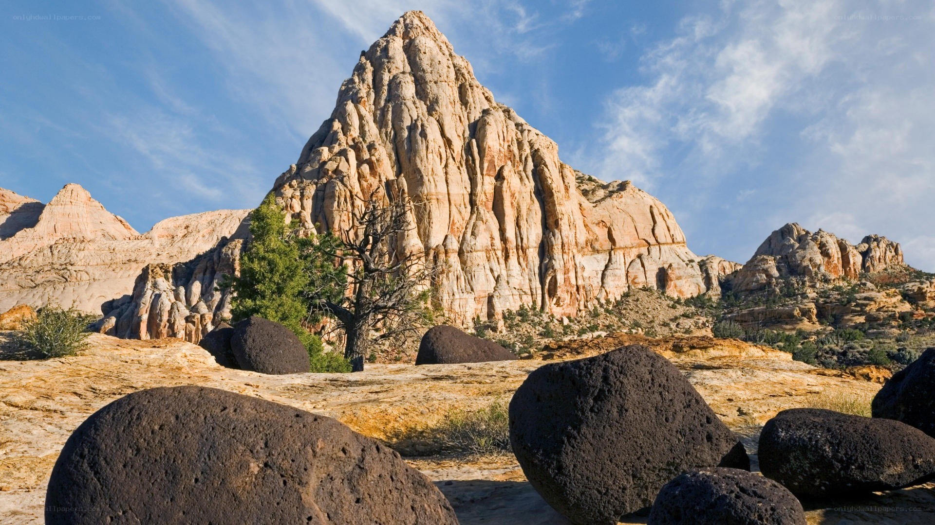 rock formations in desert landscape