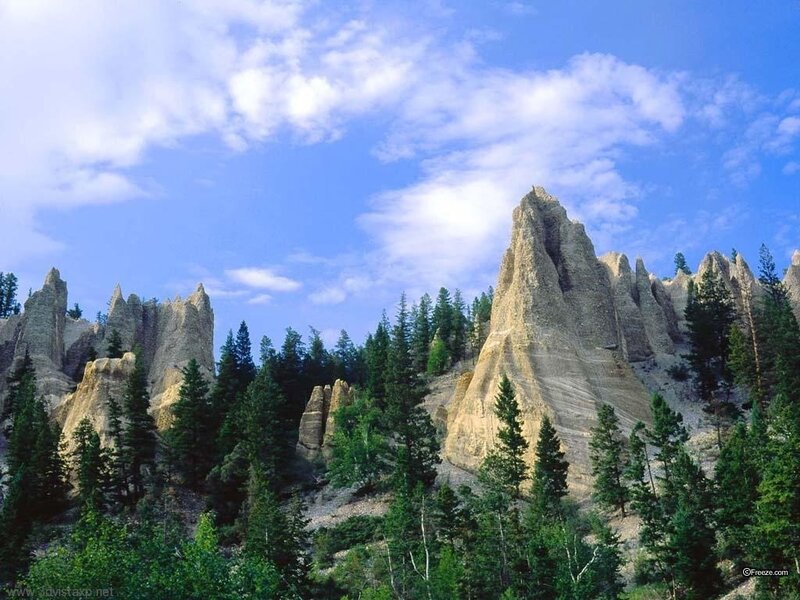 Rock Formations in Forest — Blue, Serene