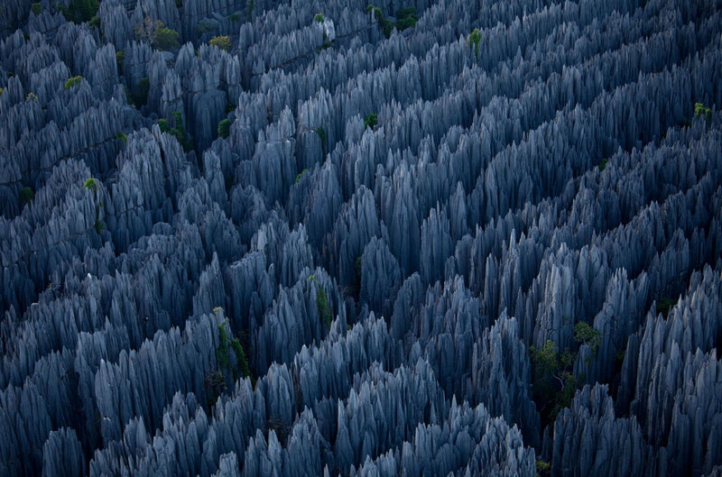 Rock Formations in Forest — Gray