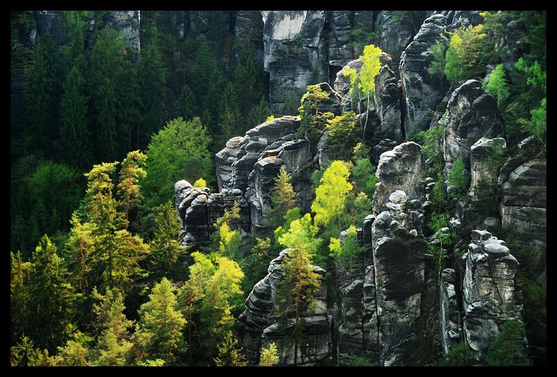 Rock Formations in Forest — Green, Dramatic, Afternoon