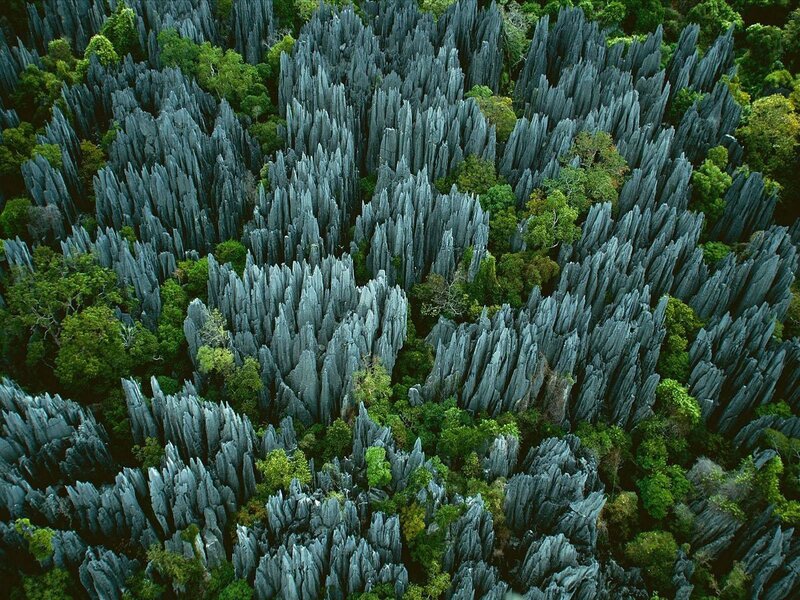 Rock Formations in Forest — Green, Dramatic, Photograph