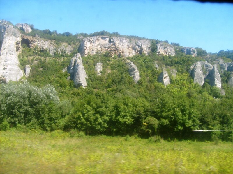Rock Formations in Forest — Green, Natural