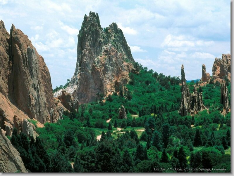 Rock Formations in Forest — Green, Serene, Afternoon