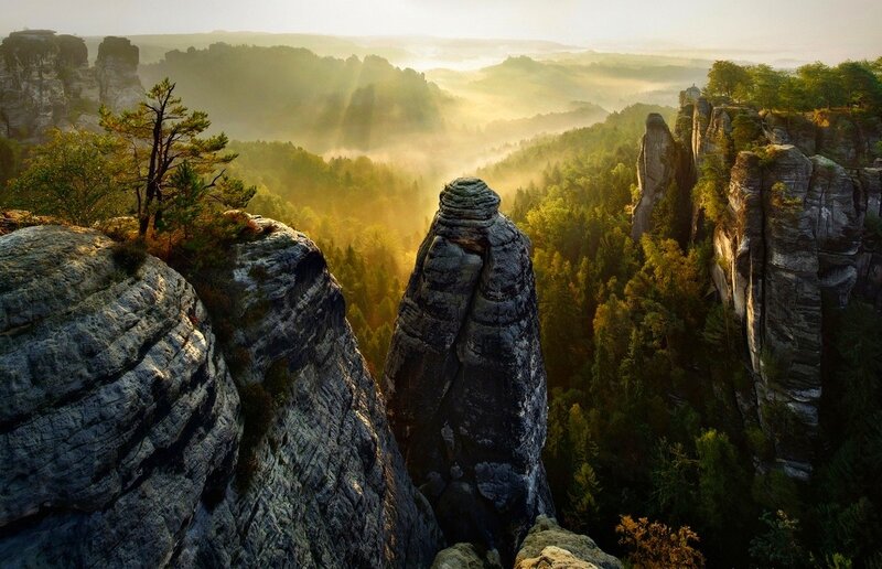 Rock Formations in Forest — Green, Serene, Morning, Photograph, Trees, Fog